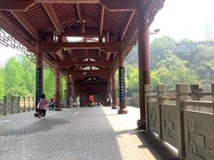 -重庆彩云湖湿地公园