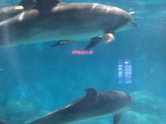 -福州罗源湾海洋世界旅游区