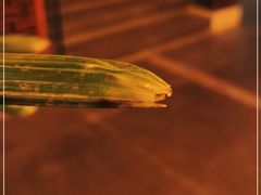 -楼外楼(玉泉店)