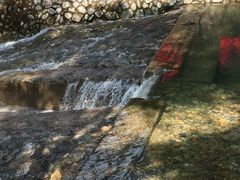 -花岩国家森林公园