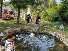 -HERRE·FARM 赫尔露营农场·团建聚会包场