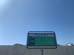 -长洲岛