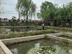 -同銮特种养殖场·龙虾垂钓