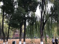 -四川大学(望江校区)