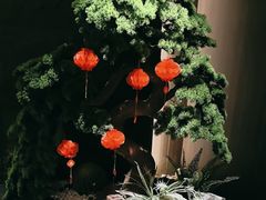 -阿露佳·舌尖上的安吉菜