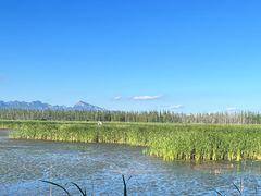 -野鸭湖国家湿地公园