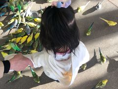 -昆明大悦城未来动物城(螺蛳湾中心店)