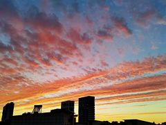 -天津东丽湖风景区