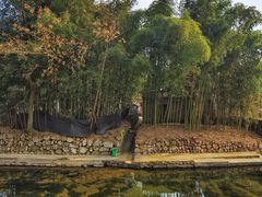 -溪口-滕头旅游景区