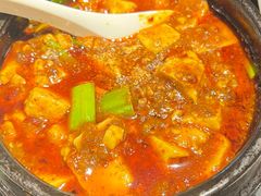 -陈麻婆豆腐总店