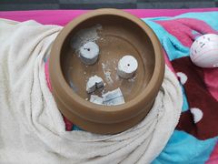 -爱月宝月嫂·育儿嫂(哈尔滨总店)