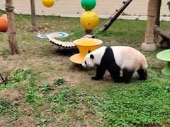 -石家庄市动物园