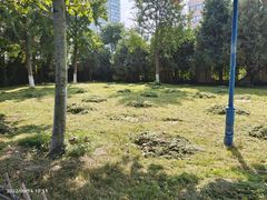 -丰台科技园生态主题公园