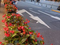 -上海哈尔滨食品厂(淮海中路店)