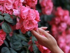 -广富林郊野公园