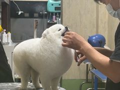 -喜洋洋宠物医院(震川路总店)