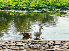 -太阳宫公园