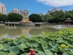 -九龙公园