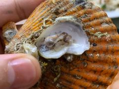 -红海湾豪记海鲜大排档