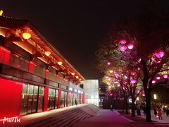 -大雁塔北广场音乐喷泉