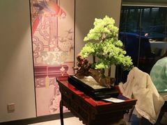 -顺峰(农展馆店)