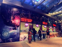 -珠海横琴长隆《卡卡虎奇遇记》