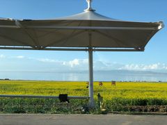 -青海湖国家重点风景名胜区