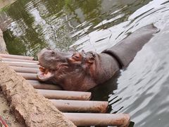 -杭州野生动物世界