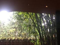 -星巴克(成都锦里店)