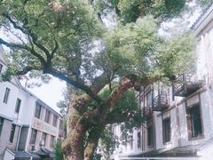 -灵顺寺