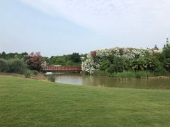 -金鸡湖高尔夫会员专属俱乐部