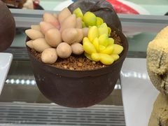 甜点-咖啡苑·沈阳今旅酒店Hotel Jen·香格里拉集团