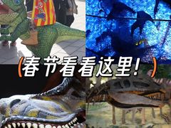 -中国西峡恐龙遗迹园