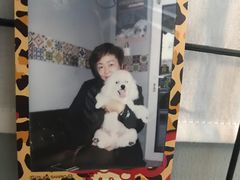 -超宠爱宠物摄影-Super pet