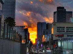 -宝健路步行街(Pedestrian Shopping Street)