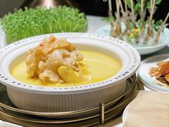 -领鲜天下·焗海鲜·花胶鸡(天目里店)