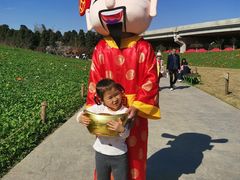 -秀丽东方