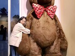 -济州岛泰迪熊博物馆