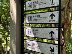 -广州市帽峰山景区