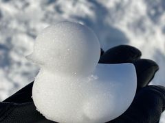 -绿野森林乐园冰雪季