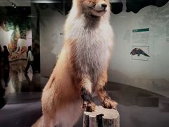 -云南省博物馆