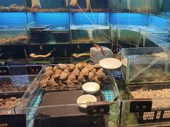 -九月海·海鲜自助(世纪东方店)
