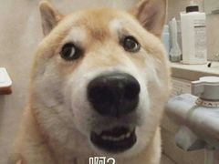 -太原茂业天地购物中心