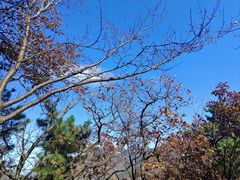 -罗田天堂寨风景区