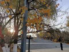 -长春世界雕塑园冰雪艺术天地