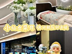 -小仙女采耳·按摩·SPA(深圳旗舰店)