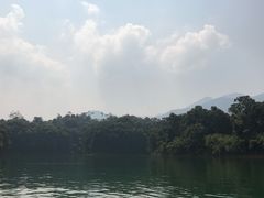 -广州市流溪河国家森林公园