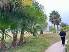 -云里小坐·海泉湾·团建·宴席·下午茶(金堂海泉湾店)