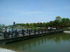 -上海鲜花港