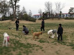 -上海崇明金茂凯悦酒店